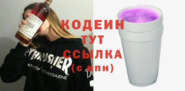 мет Инта