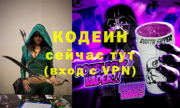 МДПВ Елабуга