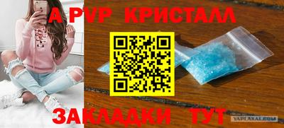 прущие грибы Беслан