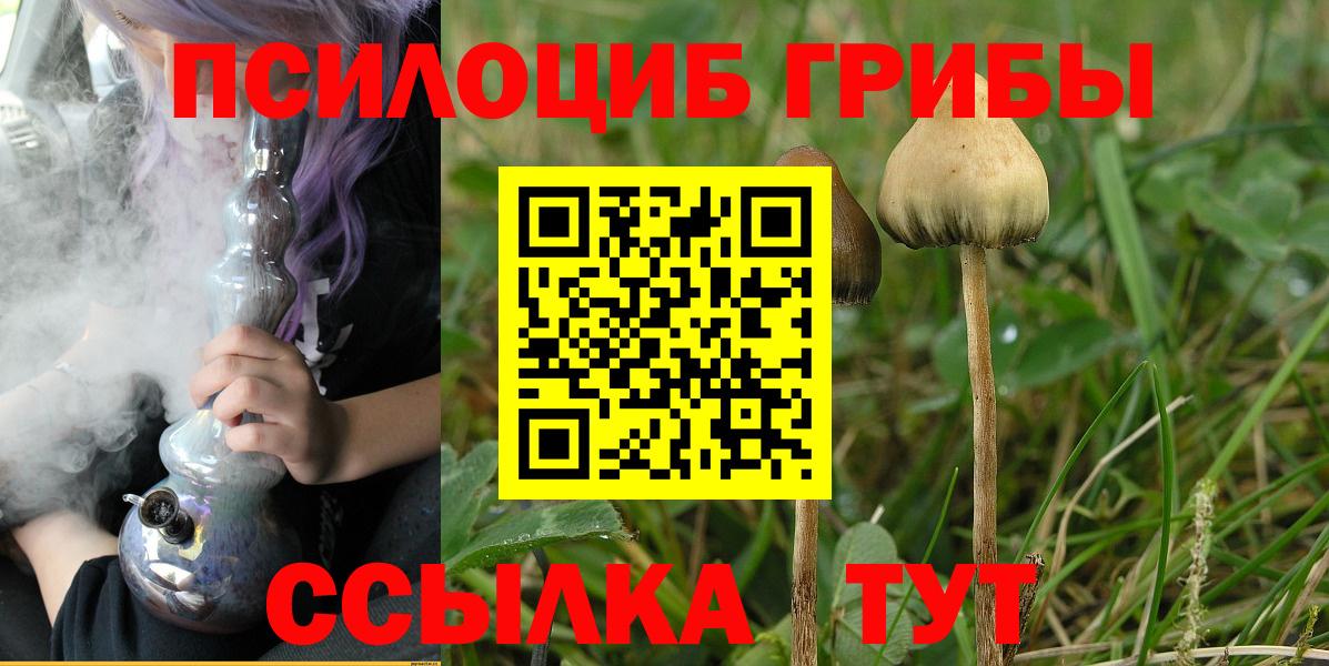 Псилоцибиновые грибы MAGIC MUSHROOMS  Вход с VPN  Всеволожск 
