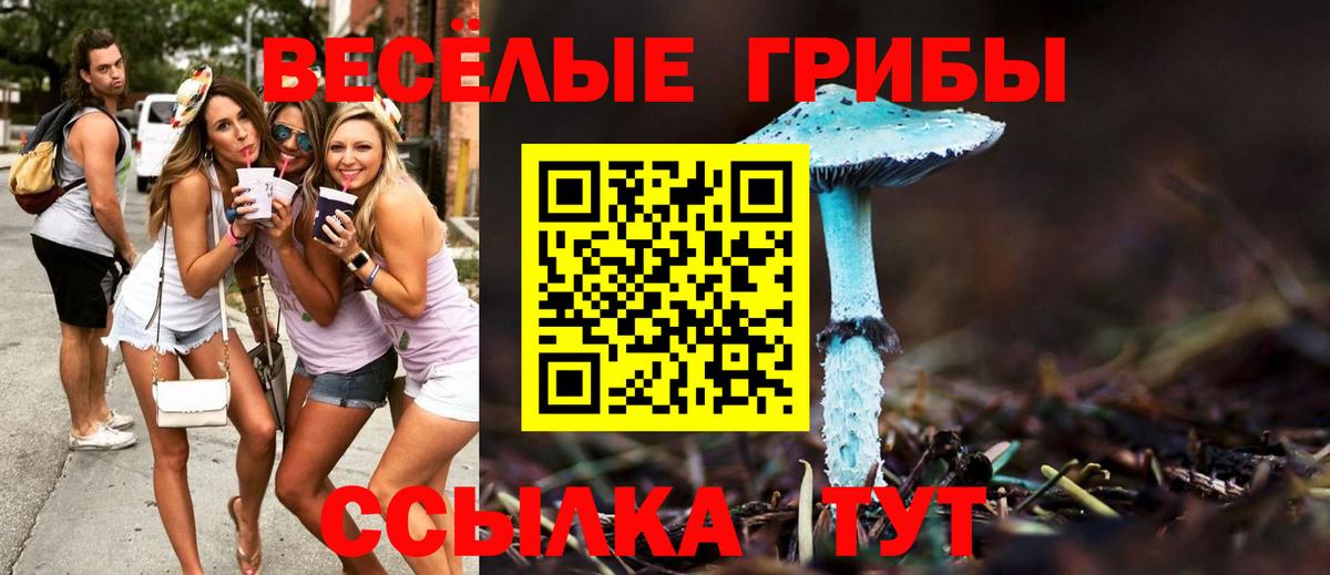 Галлюциногенные грибы мицелий Всеволожск